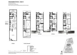 mimosa-road photo thumbnail #3